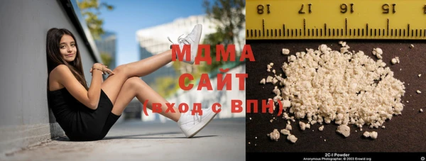 индика Медногорск