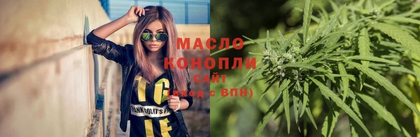 индика Медногорск