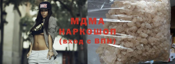 индика Медногорск