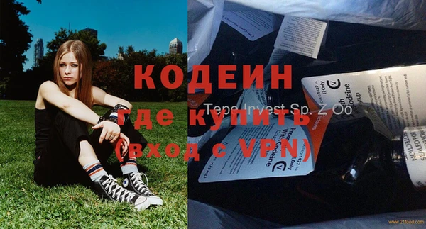 индика Медногорск