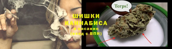 дживик Мегион