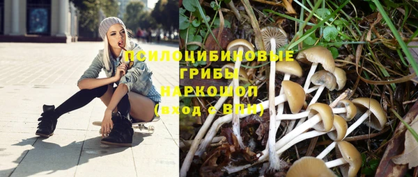 индика Медногорск