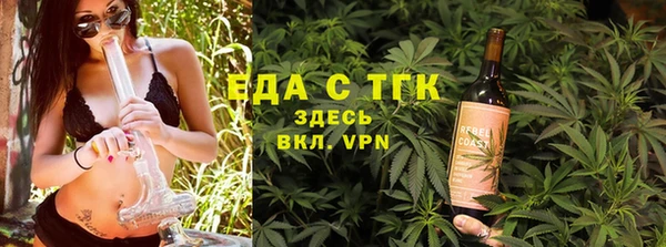 индика Медногорск