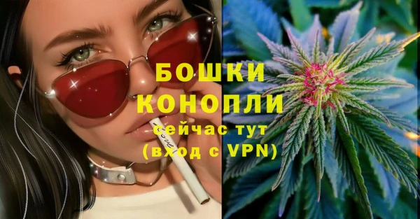 гашик Медвежьегорск