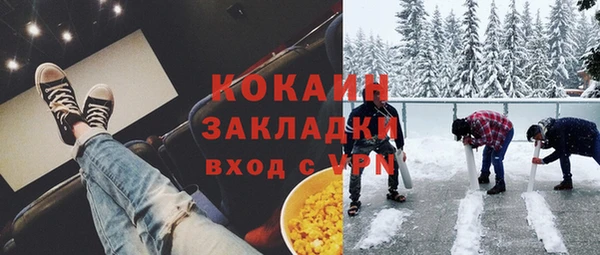 индика Медногорск