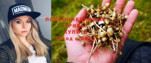 гашик Медвежьегорск