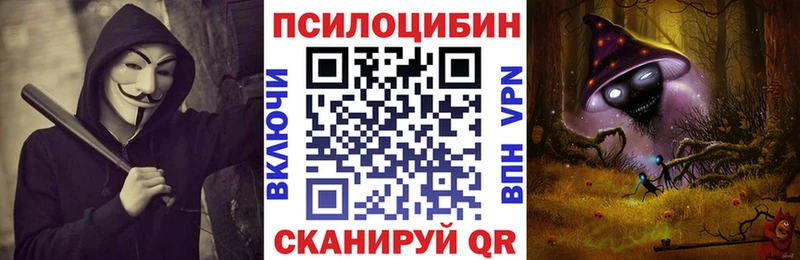 Галлюциногенные грибы GOLDEN TEACHER  Купить закладки  Иркутск 
